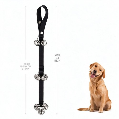 Puppy potty training - puppy, for