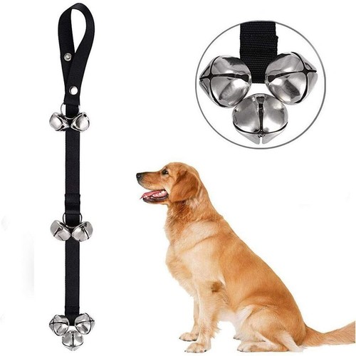 Dog training doorbells puppy - training,